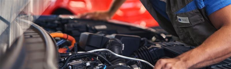 Ford Interim Service – Just £99 at Premier Motors, Isle of Wight