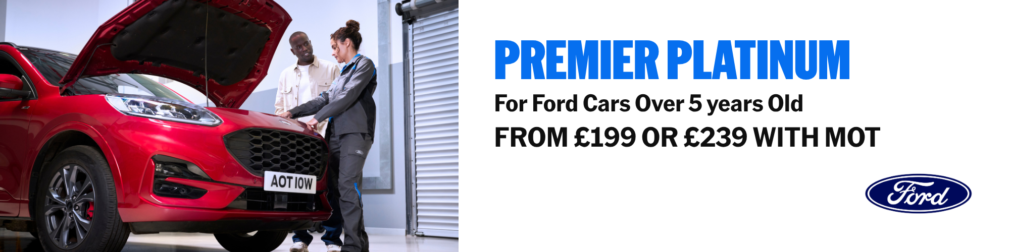 Premier Platinum Service
