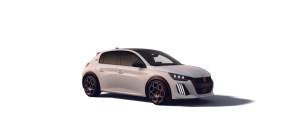 PEUGEOT E 208 ELECTRIC HATCHBACK at Premier Motors Newport